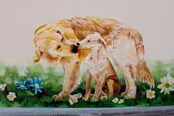 graffiti por encargo galicia
