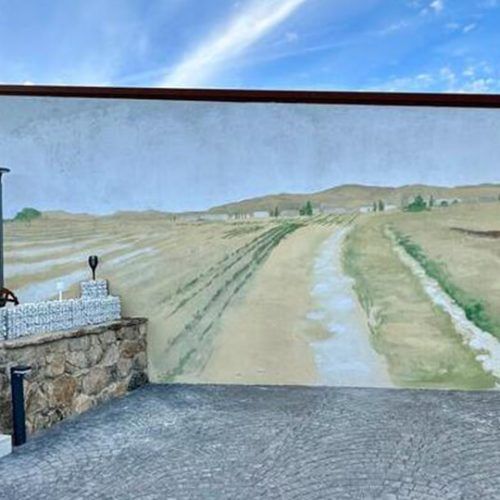 decorar pared exterior terraza ideas